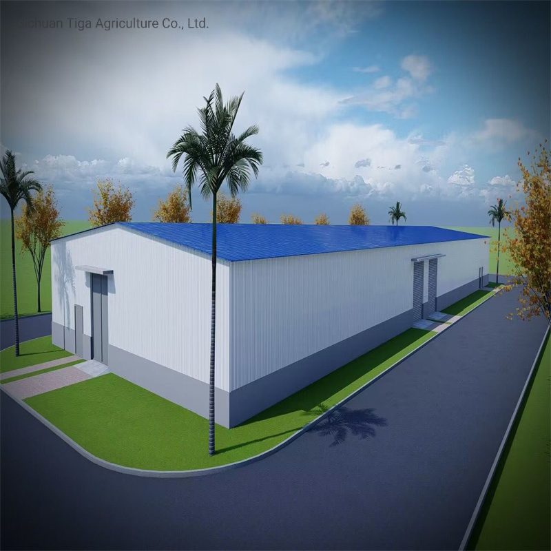 EPC High Strength and Seismic Resistance Fast Installation Prefabricated Distribution Center