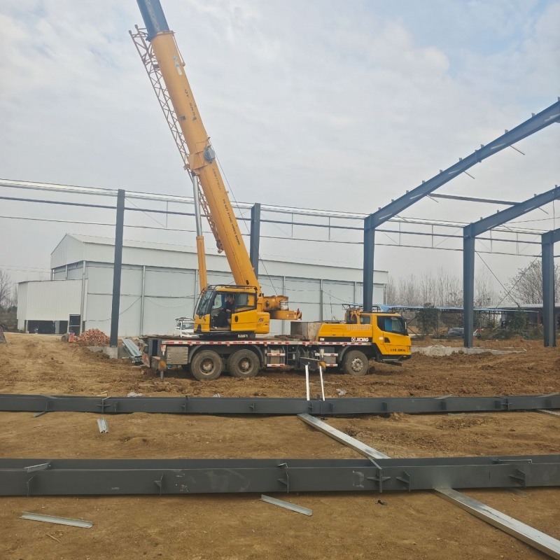 Cold Chain Logistics Refrigerated Storage Steel Structure Warehouse Building