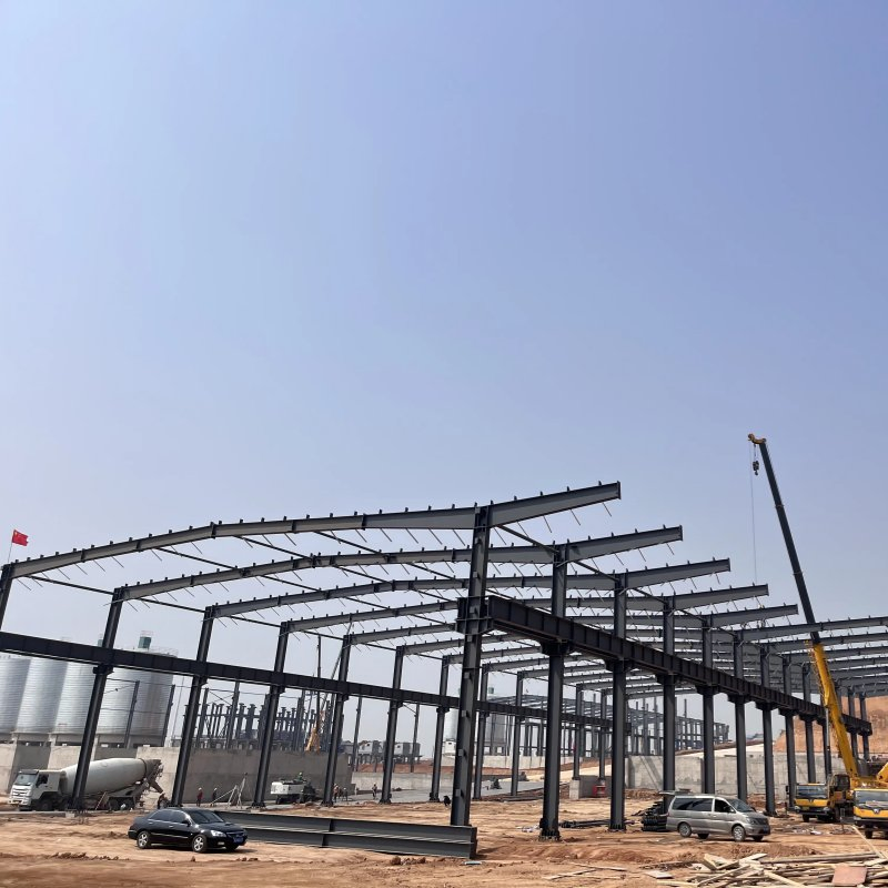 Metal Frame Construction Steel Structure Warehouse Workshop/Factory Building with Great Service
