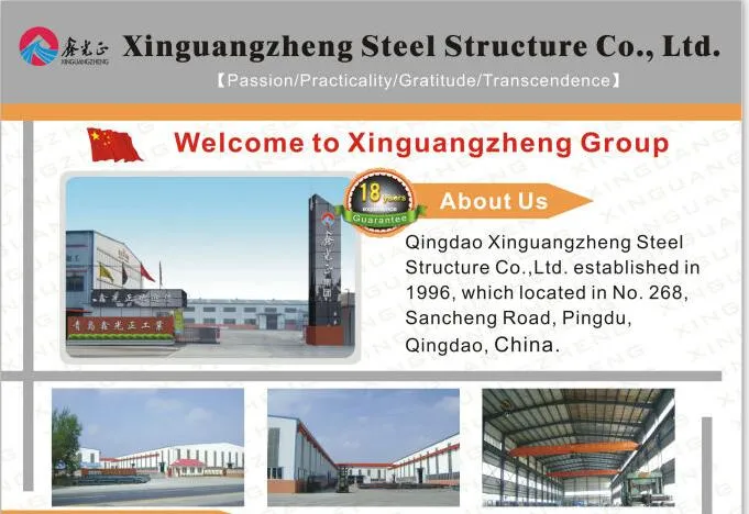 Steel Structure Airport Distribution Center View 1