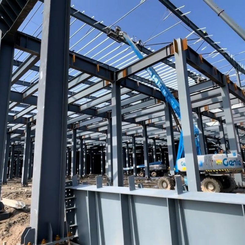 Multi Span Industrial Factory Plant Workshop Shed Steel Structure Building