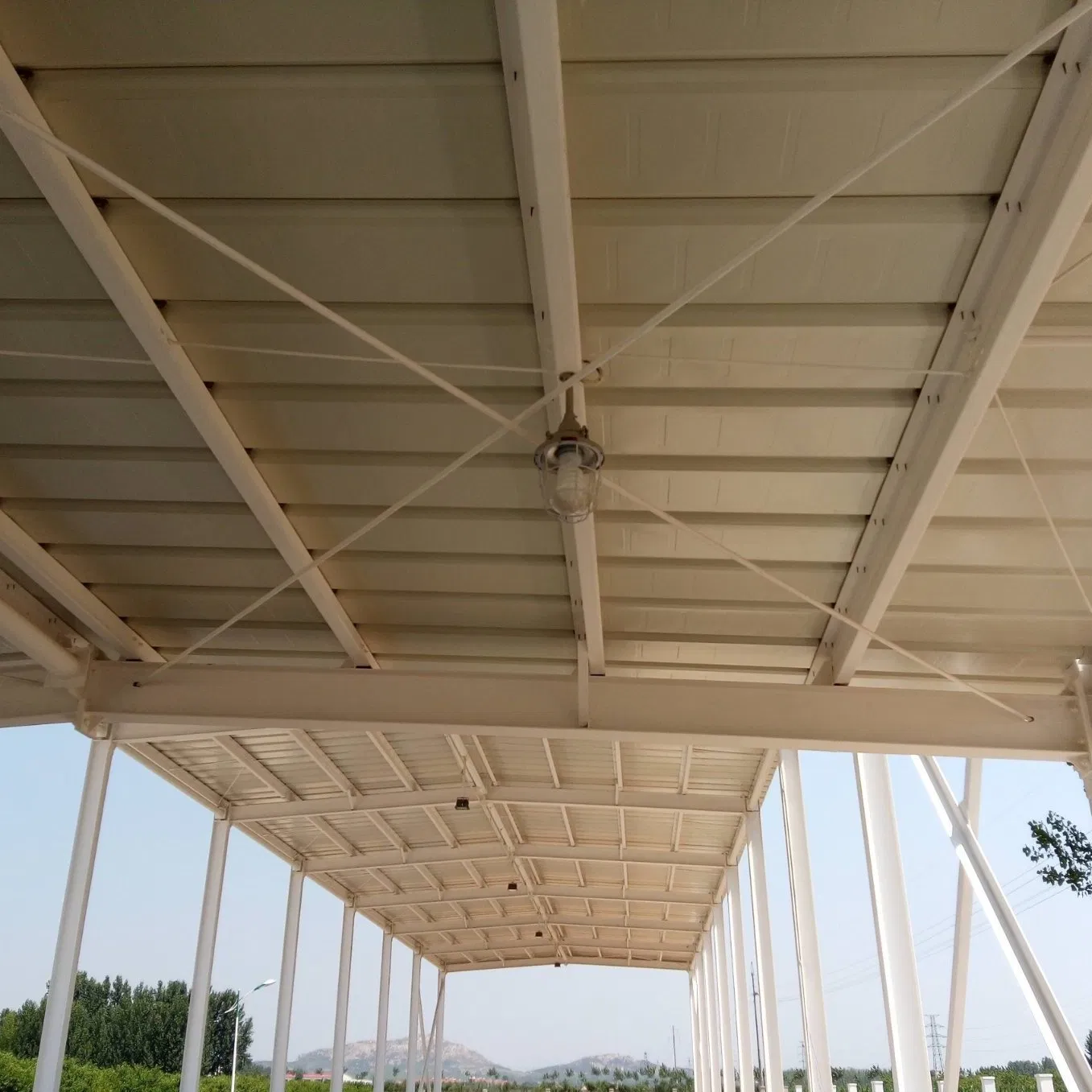 Advanced Algeria Bricks Manufacturing Plant with Steel Structure