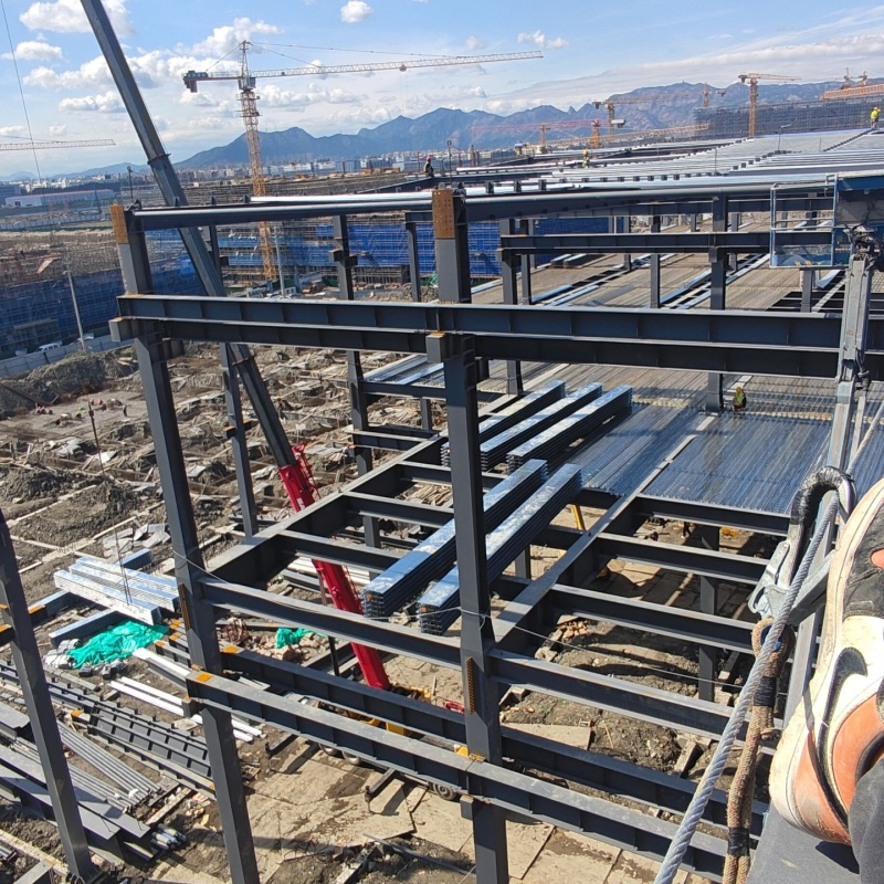 Cold Chain Logistics Refrigerated Storage Steel Structure Warehouse Building