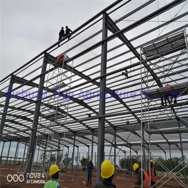 Steel Structure Building 7