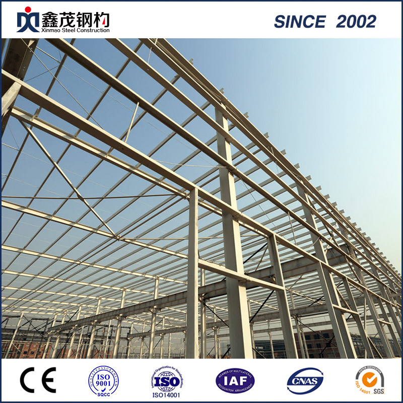 Customizable Metal Steel Structure Large Shopping Mall Office Warehouse and Supporting Facilities