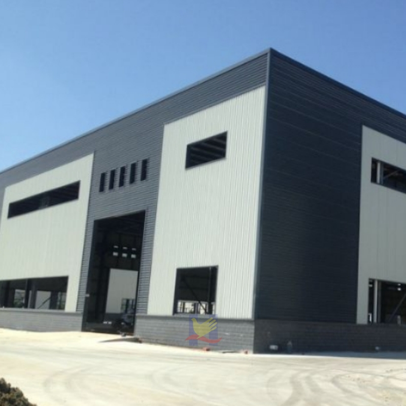 Special Steel Structure Buildings for Production Workshops and Logistics Transfer Stations