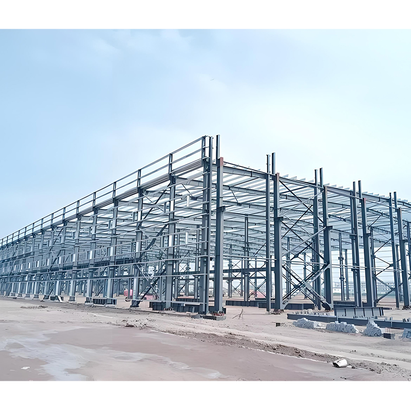 Durable Steel Structure Workshop for Manufacturing and Assembly Line