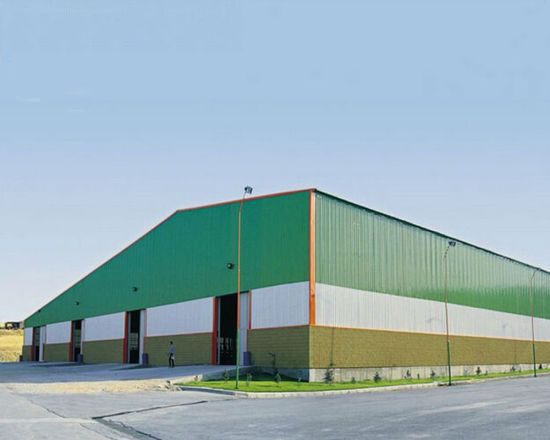 Clear Span Factory Pre Engineering Steel Structure Building Shed Warehouse Dairy Facilities