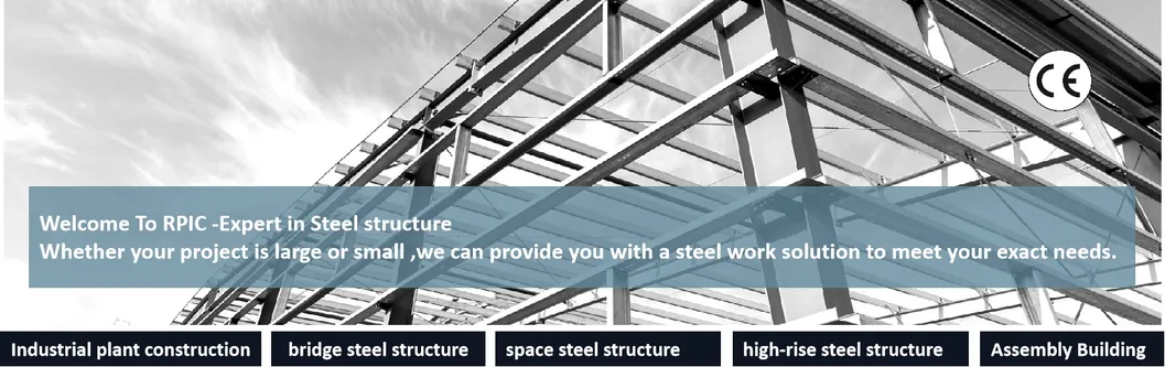 Steel Structure Building