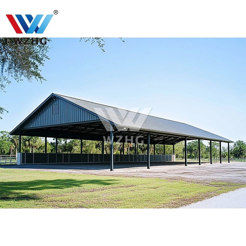 Cheap Prices Prefabricated Storage Shed Construction Warehouse Steel Structure Buildings
