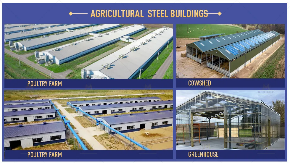 Construction Phase 2