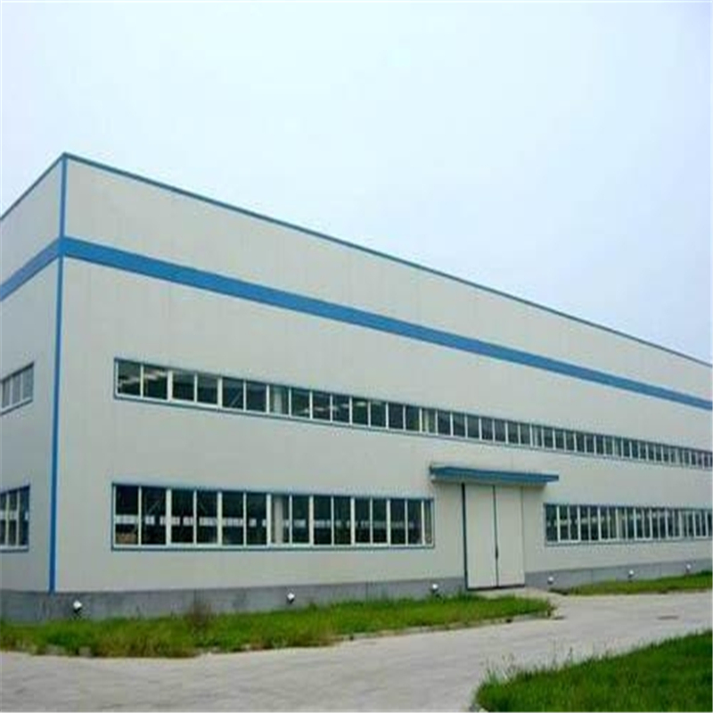 Customized Steel Structure Building Vegetable Processing Plant