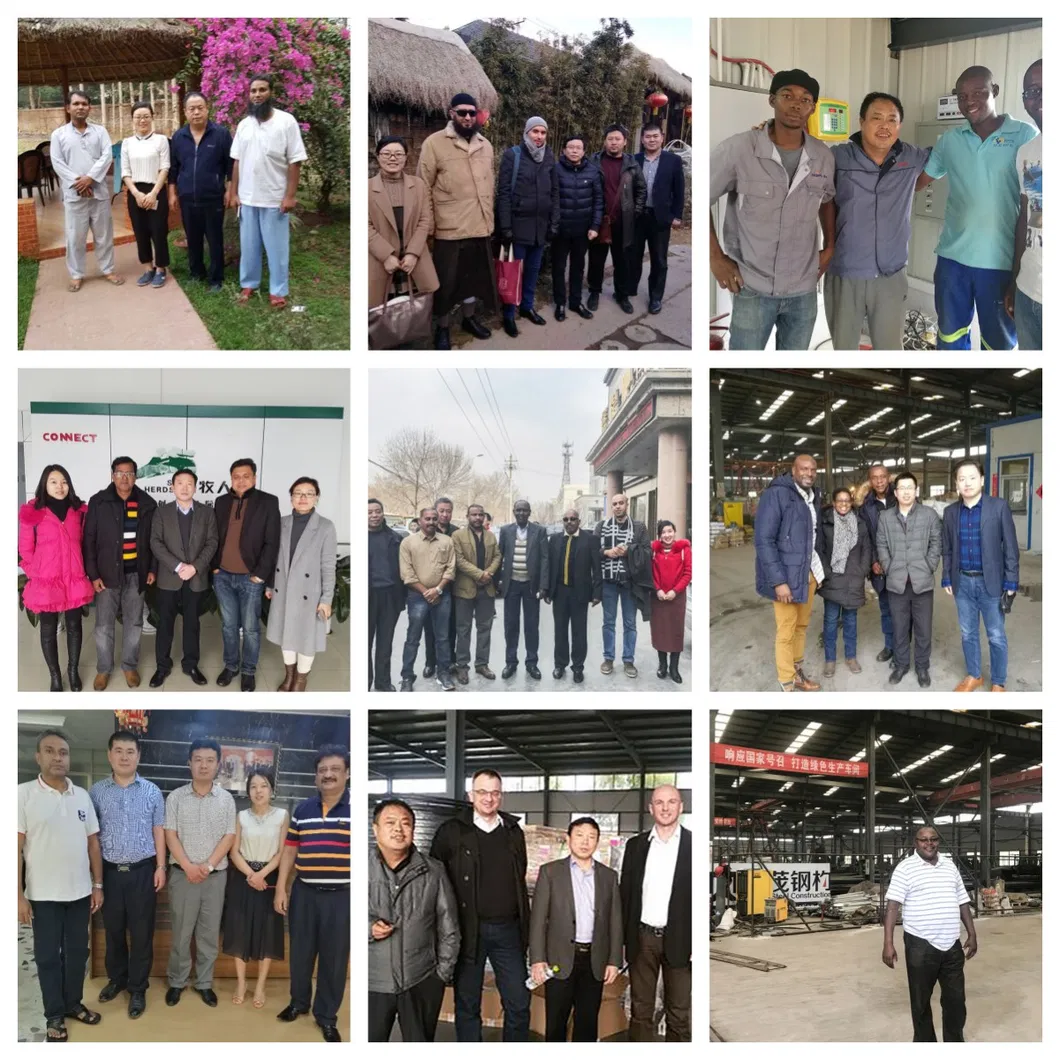 Global Project Distribution