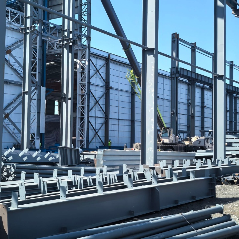 Multi Span Industrial Steel Structure Storage Building for Logistics