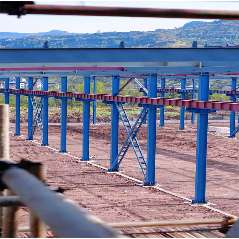 Customized Efficient Steel Structure for Manufacturing Plant