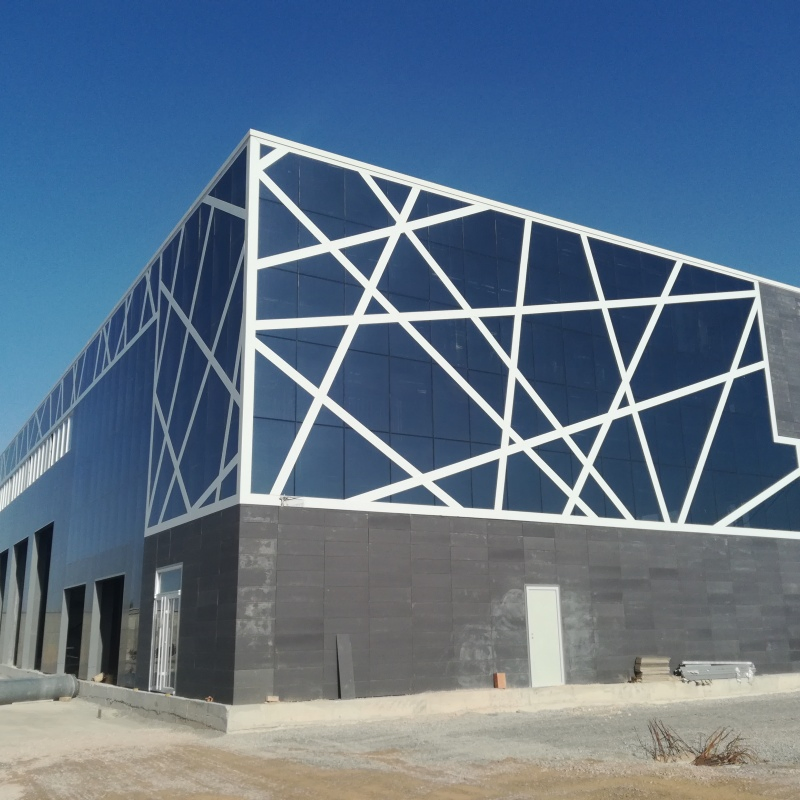 Industrial Steel Structure Building with Clear Span Frame and Durable Roofing