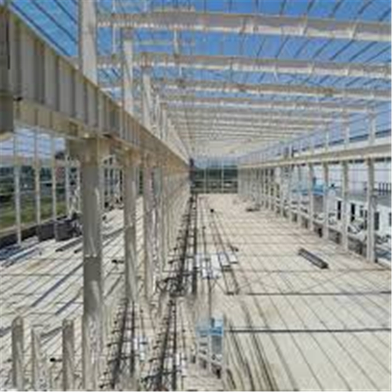 Low Cost Fast Assembling Prefabricated Steel Structure Seafood Processing Plant