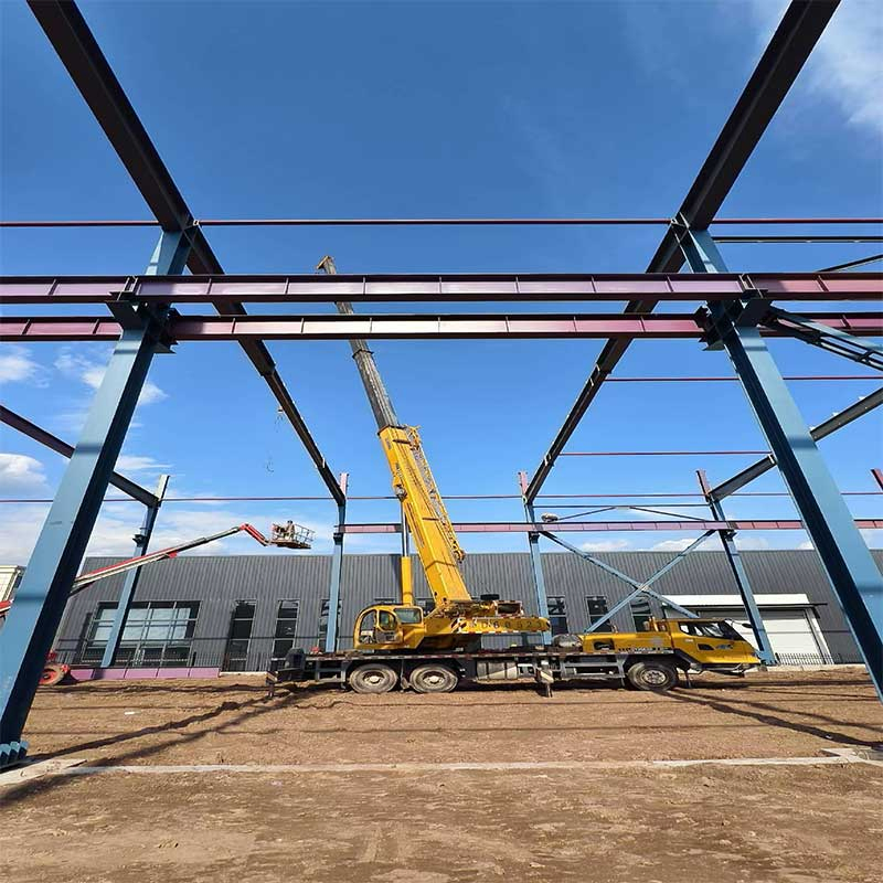 Customized Efficient Steel Structure for Manufacturing Plant