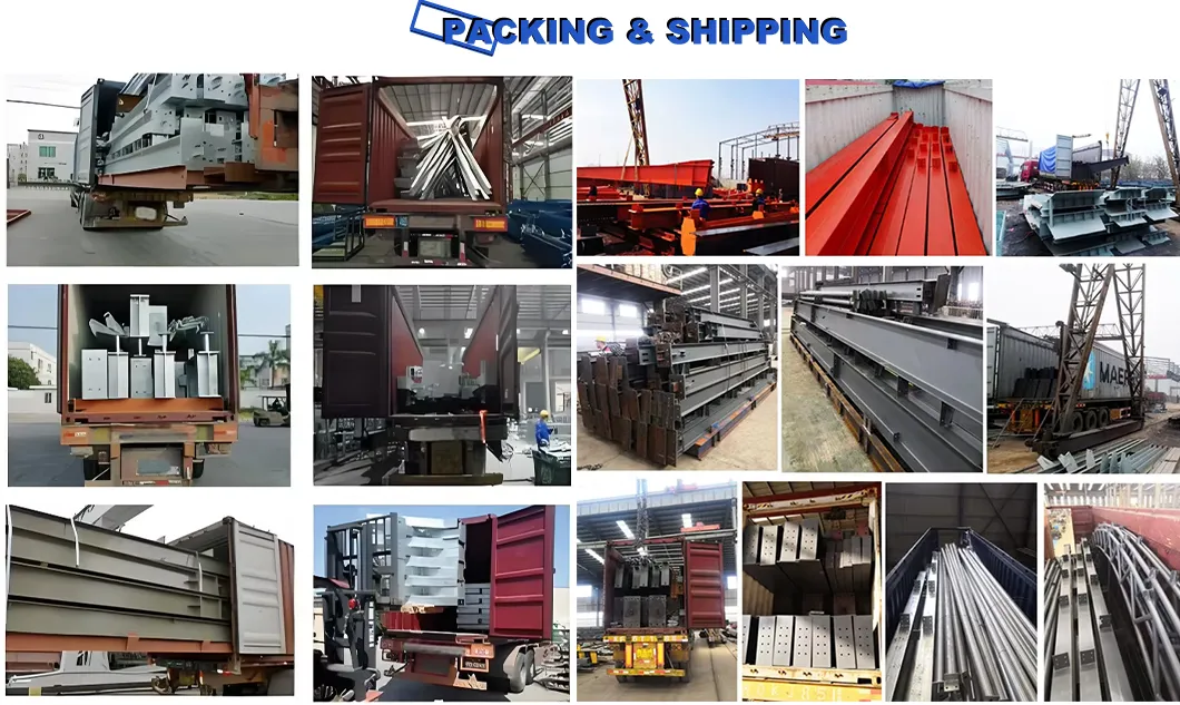 Standard Sea Shipping Packaging