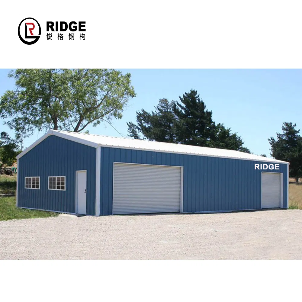 Light Steel Metal Structure Cold Storage Lagerhaus Wholesale Prefabricated Steel Structure Building