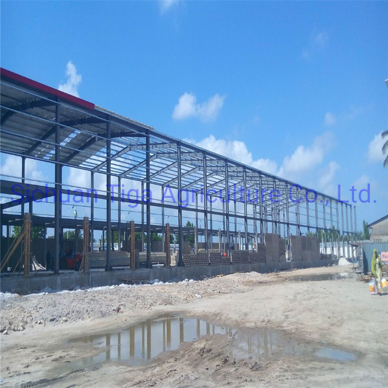 Professional Design Fireproof Long Span Light Frame Aircraft Shed Prefabricated Steel Structure Hangar