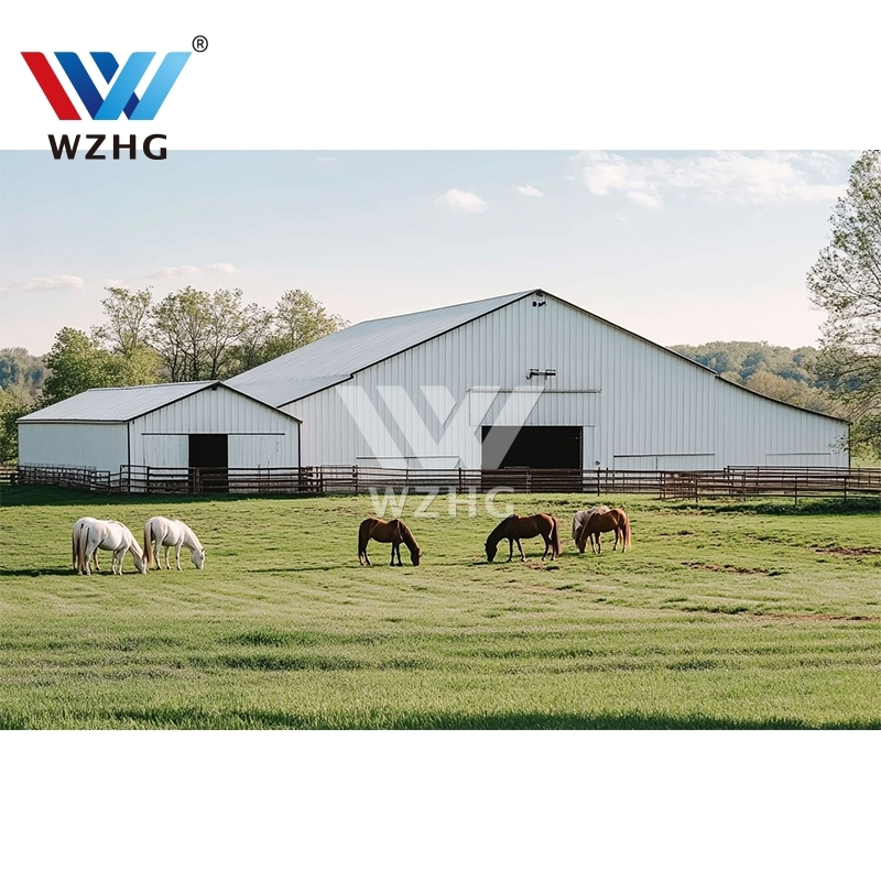 Cheap Prices Prefabricated Storage Shed Construction Warehouse Steel Structure Buildings