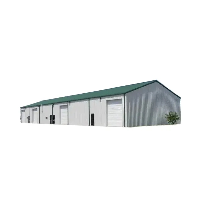 Steel Structure Pre-Engineered Factory/Warehouse/ Workshop/ Cold Storage Steel Structure Buildings