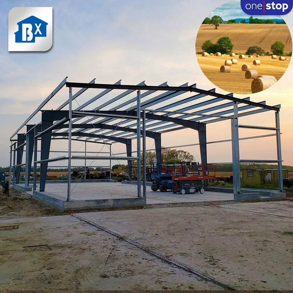 Durable Steel Structure Plant for Efficient Manufacturing and Construction