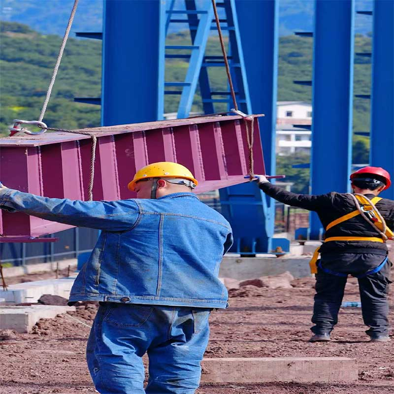 Customized Efficient Steel Structure for Manufacturing Plant