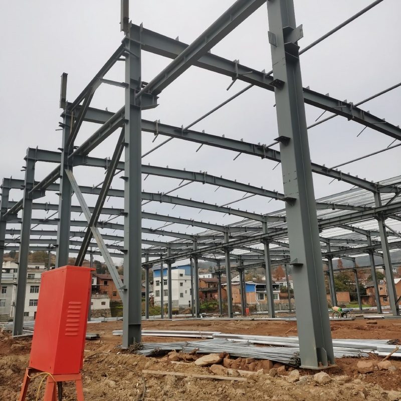 Cold Chain Food Storage Freezer Steel Structure Warehouse Building