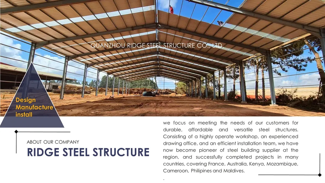 Steel Structure Plant