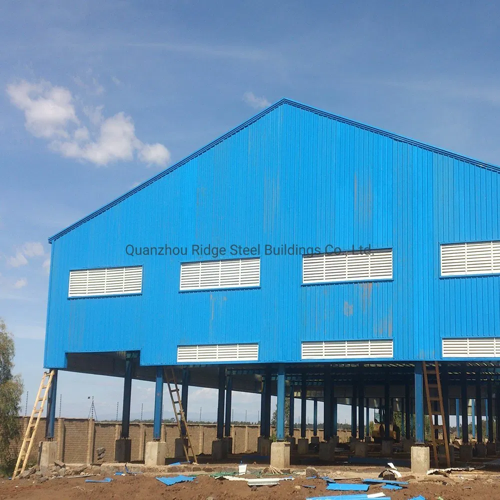 Light Type Standard Constructing Warehouses Workshop Multi Story Steel Structure Agricultural Metal Building