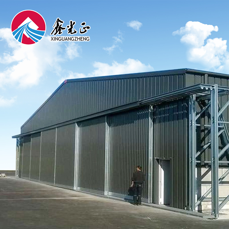 Long Span Light Frame Warehouse Steel Structure Building H Beam Shed Steel Hangar