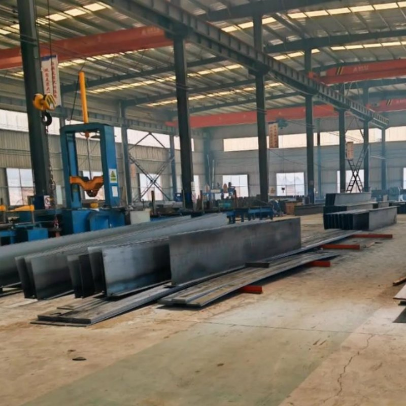 Special Steel Structure Buildings for Production Workshops and Logistics Transfer Stations