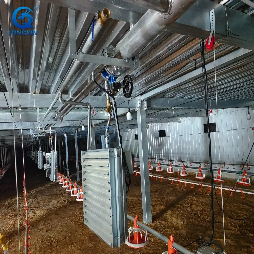 Agricultural Steel Structure Poultry Farm House Chicken Coop Building