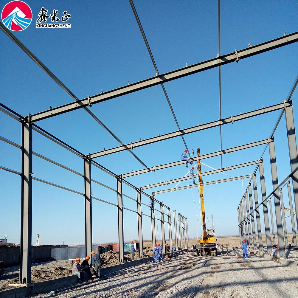 Prefabricated Steel Structure Factory Building Used as Cold Storage