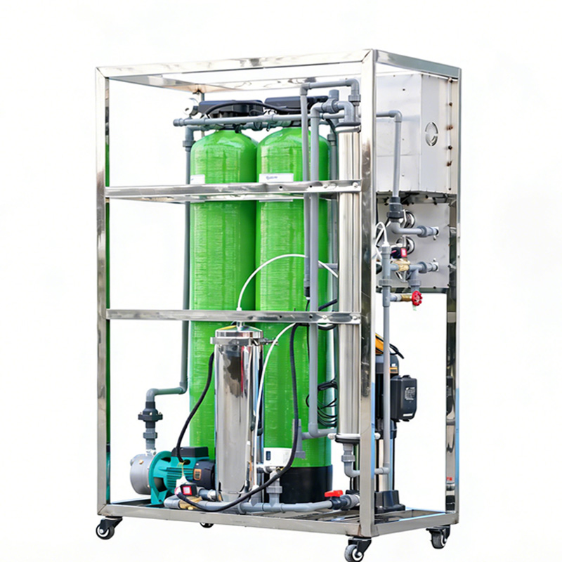 Water Treatment Plant 250lph Reverse Osmosis Plant Water Filter Plant Factory for Canned/Barreled/Bagged Water