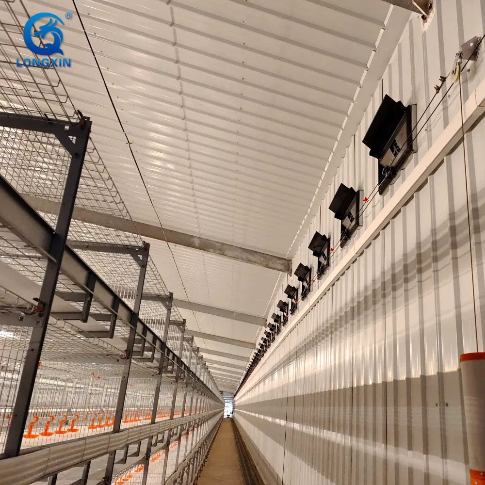 Agricultural Steel Structure Poultry Farm House Chicken Coop Building