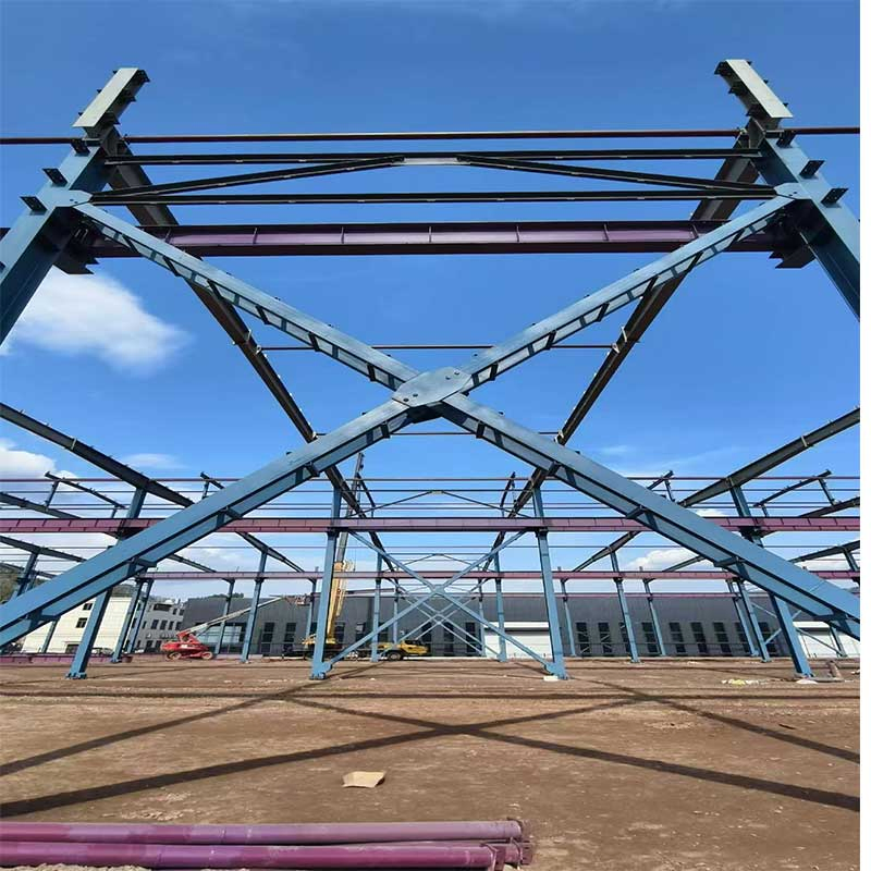 Customized Efficient Steel Structure for Manufacturing Plant