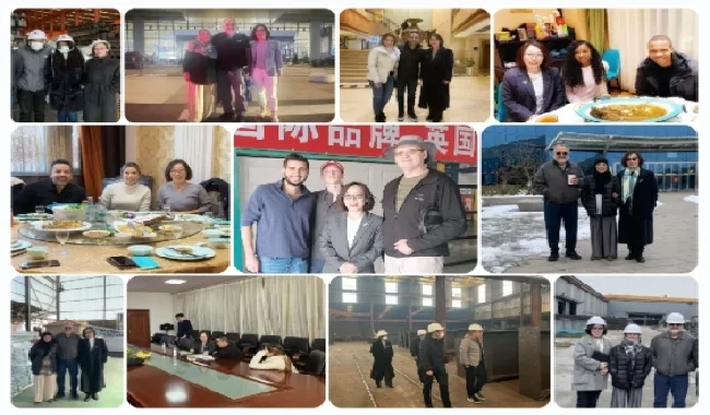 Steel Structure Workshop 2