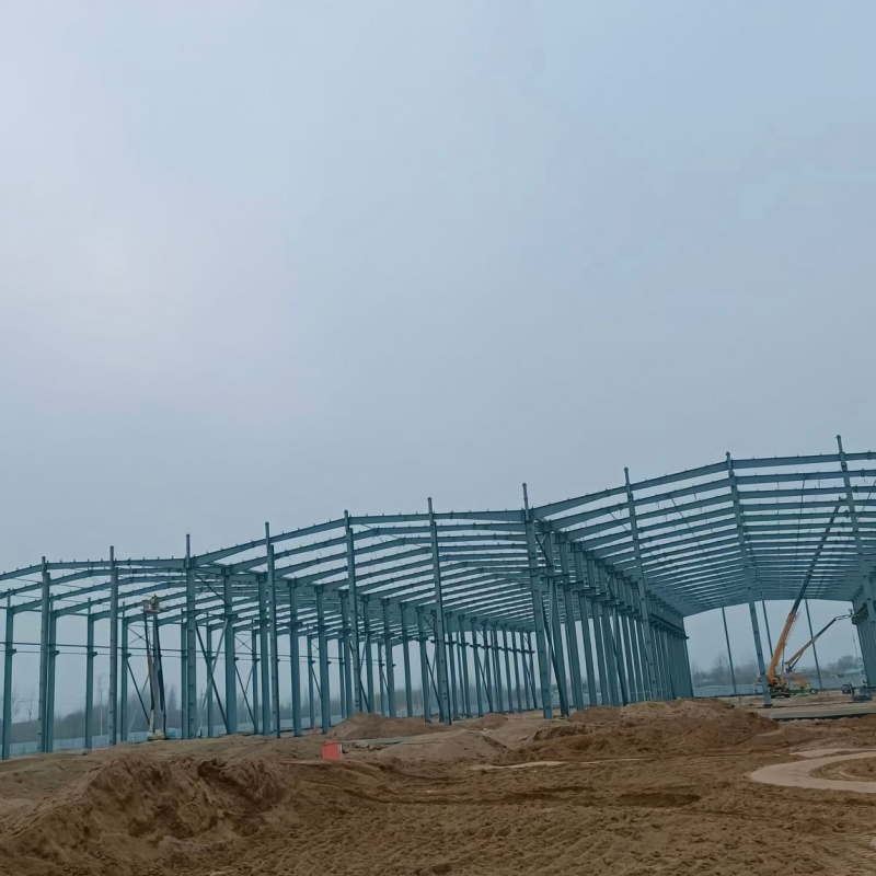 Cold Chain Storage Steel Structure Storage Building for Food