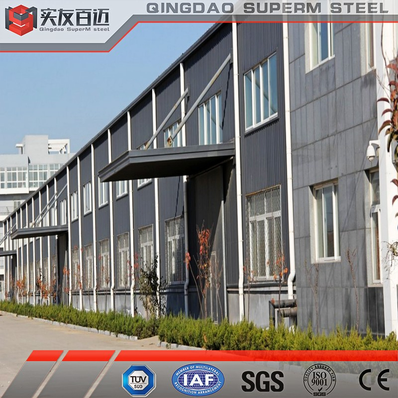 Steel Structure Workshop with Crane for Tire/Marble/Slaughter/Steel Production and Processing