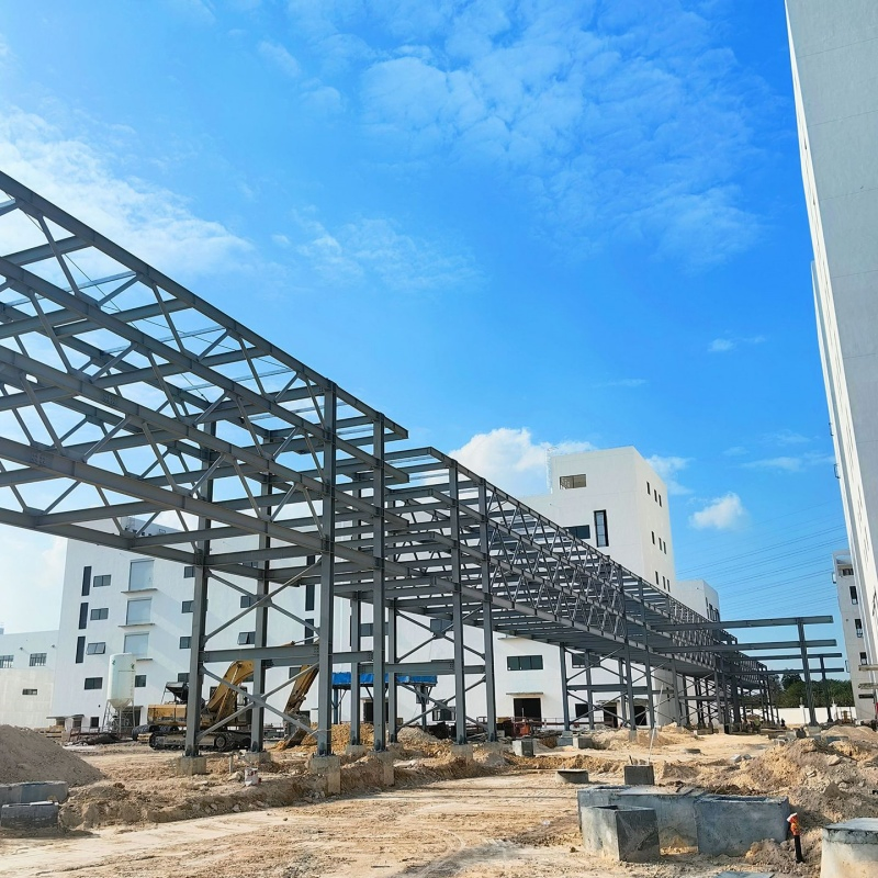 Multi Span Industrial Steel Structure Production Building for Logistics
