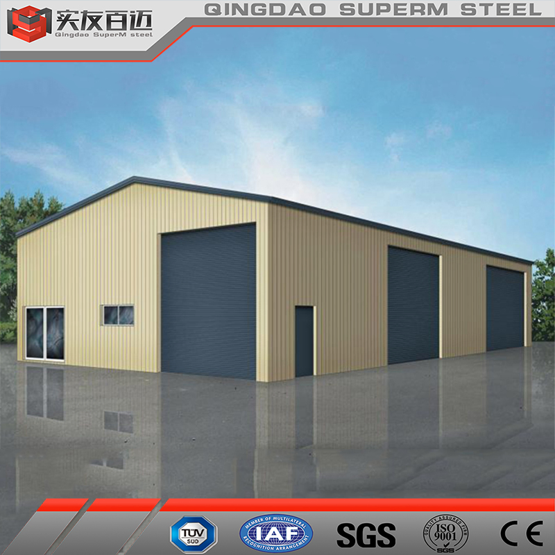 Prefabricated Steel Structure Workshop Warehouse Cold Storage Building Construction