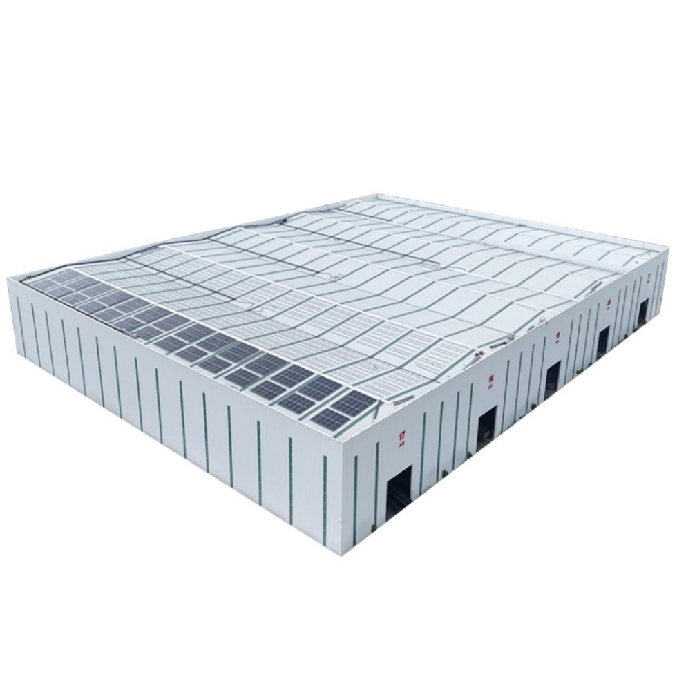 Prefabricated Warehouse Steel Structure Workshop Rapid Construction Steel Structure Hall Workshop Hangar Solution