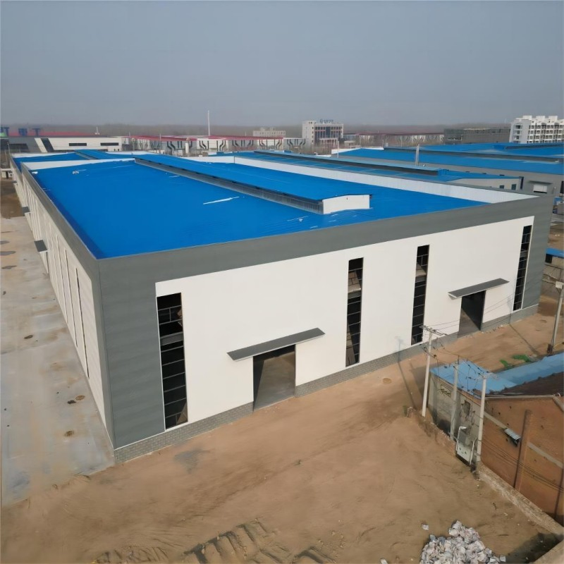 Modular Steel Building Systems for Workshops, Hangars, and Agricultural Facilities with Custom Design Options
