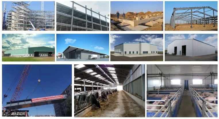 Product Introduction