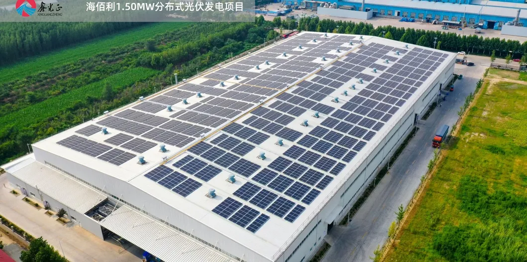 Steel Structure Plant 5