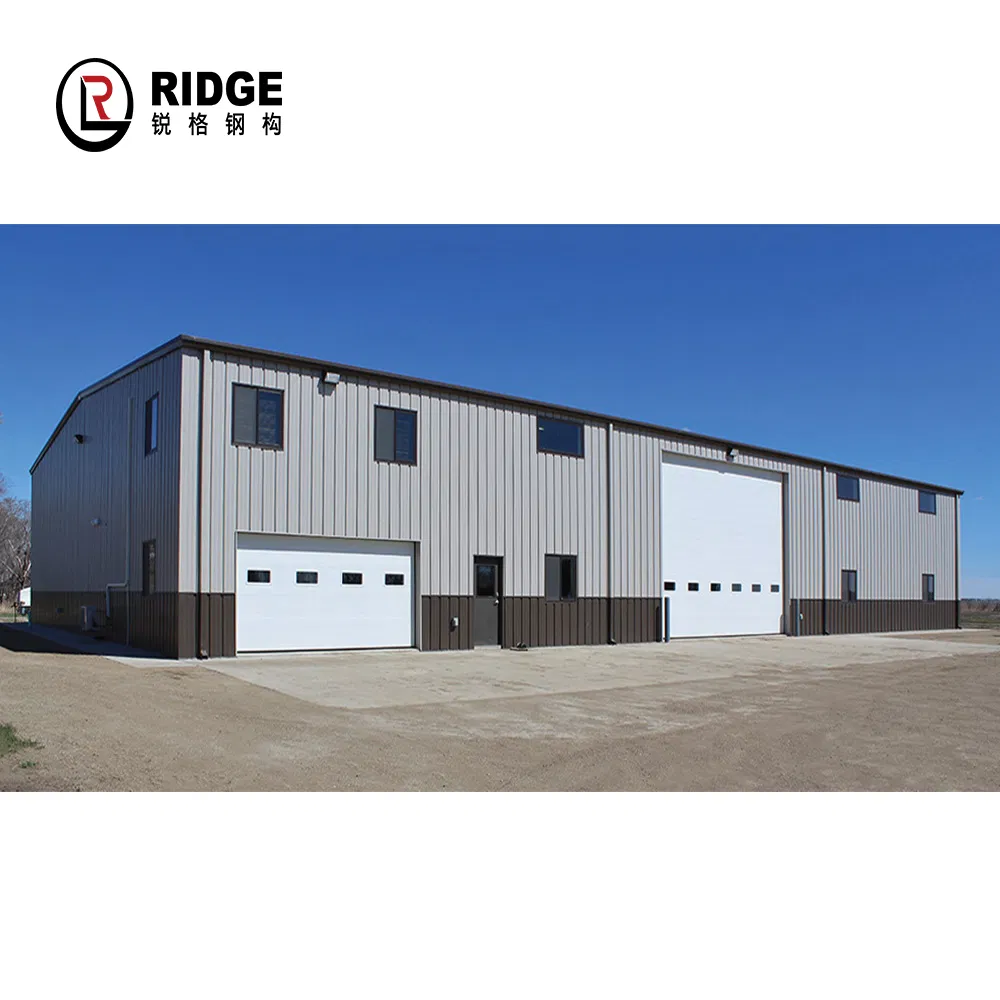 Light Steel Metal Structure Cold Storage Lagerhaus Wholesale Prefabricated Steel Structure Building