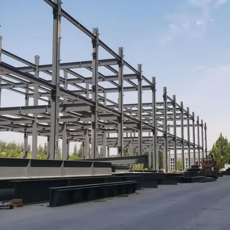 Multi Span Industrial Steel Structure Production Building for Logistics